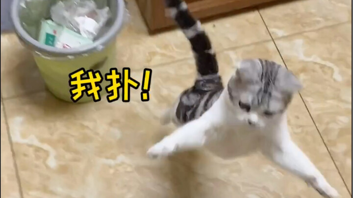 Did it finally come to life? Can it actually understand me? It’s actually playing games with me!