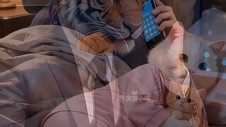 ตอบแทนบุญคุณท่าน ได้รับความเมตตาจากท่าน ความในใจชัดเจน กล่าวต่อหน้าท่าน!