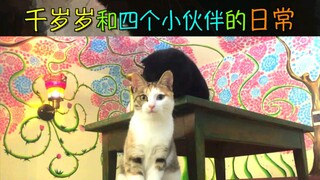 تشيان سيسي أرسلت الحلوى للجميع! شاهد حتى النهاية واحصل على الحلوى!