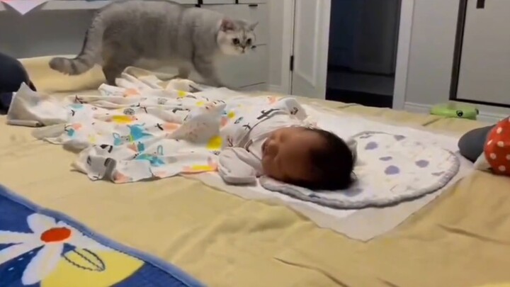 After coaxing its little owner to sleep, the cat tiptoed away. When it was about to succeed, the bab