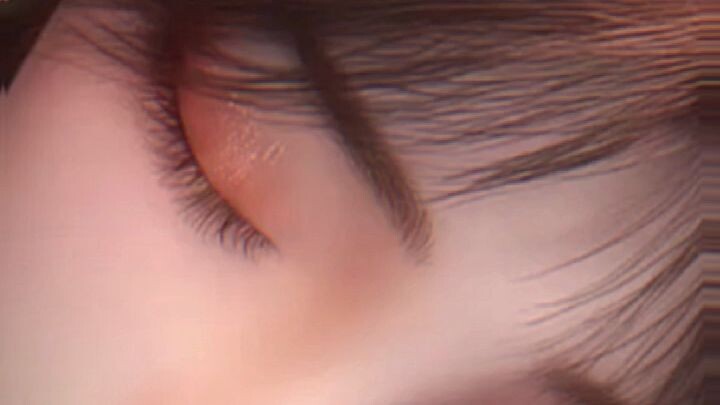 Donghua Perfect World