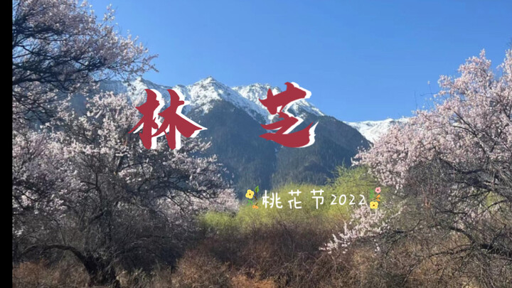 Nyingchi Peach Blossom Festival 2022