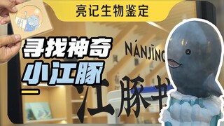 Lumba-lumba Sungai Yangtze yang sulit ditangkap, akhirnya saya melihatnya di Nanjing kali ini