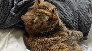 عندما تنادي أمك للاستيقاظ لتناول الطعام