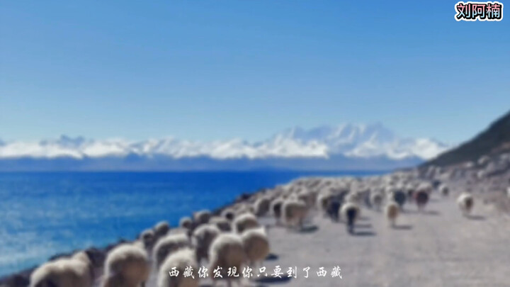 أكبر مكسب من هذه الرحلة هو أن كل شيء في هذه الحياة زائل إلا الموت والحياة نفسها — #لا بد من قيادة ال