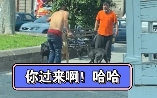 Đánh chủ nhân thì cũng phải xem chó con đã!