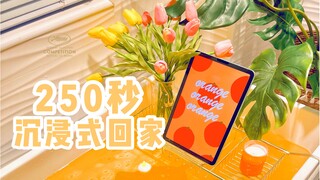 250 ثانية من الاسترخاء التام في طريق العودة إلى المنزل | امنح نفسك يومًا من الراحة كل شهر!!