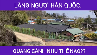 Làng người Hàn Quốc như thế nào??? #videohaynhat