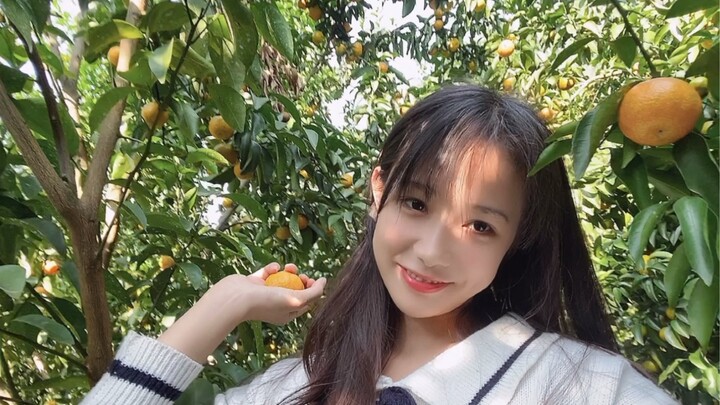 Would you like to have some fruit?