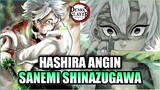 Kisah Hidup Sanemi Shinazugawa Hashira Angin - Kimetsu no yaiba