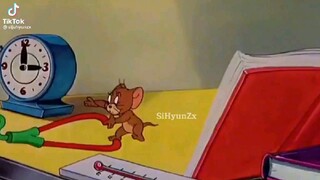 Tom và Jerry phiên bản Anime