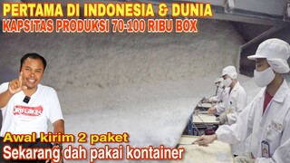 USAHA MODAL PROPOSAL DARI 3ONS KINI KAPASITAS PRODUKSI 70-100 RIBU BOX | IDE BISNIS YANG MENJANJIKAN