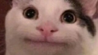 一位16岁的梦泪爱好者最后一次个人展示，