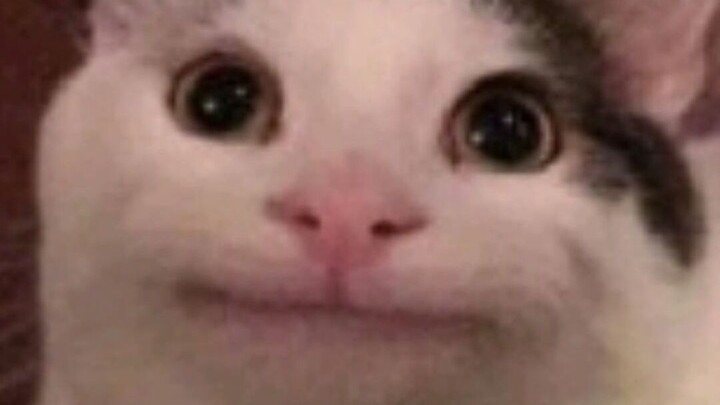 Pertunjukan pribadi terakhir seorang penggemar Menglei berusia 16 tahun,