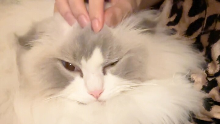 Mom’s Cold and Heartless, Fu Fu’s Unreasonable Tantrum