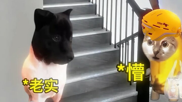 เมื่อคุณบ่น คุณก็ได้พบกับคนคนนั้น