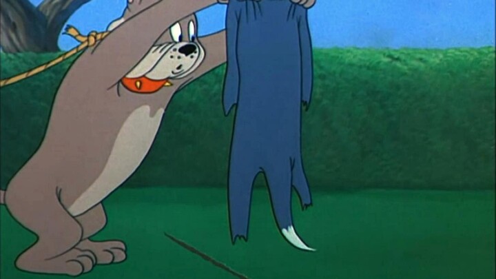 ☝🤓เสื้อผ้าแมว⚡⚡⚡