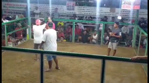 lasing lang nag bitaw pero hindi yung manok ...