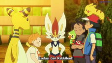 Pokemon (2019) Episode 96 Subtitle Indonesia