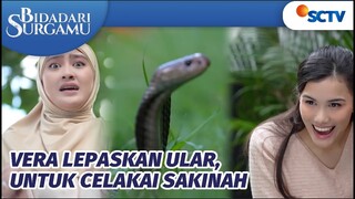 Vera Lepaskan Ular, Demi Celakai Sakinah!! | Bidadari Surgamu Episode 310