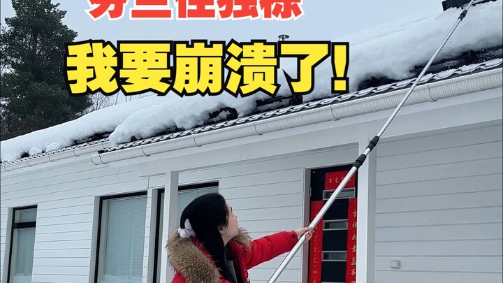 Hidup di rumah tunggal di Finlandia itu gila banget, aku sampai mau gila!