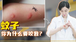 Mosquito! May I ask why you're biting me?
