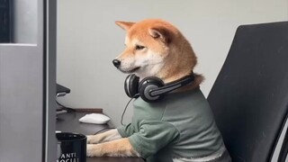 When an introvert is suddenly spoken to, no one can guess what's going on in my mind.