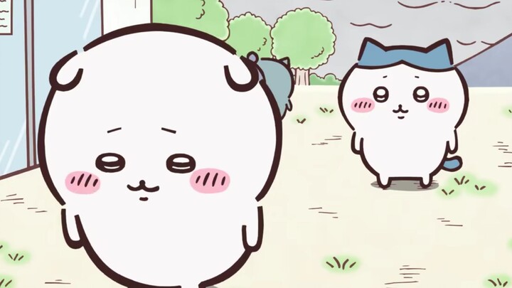 【ชิอิกาวะ】สิ่งที่ส่องสว่างจริงๆ คุณจะเข้าใจได้ก็ต่อเมื่อม่านถูกเปิดเผยเท่านั้น