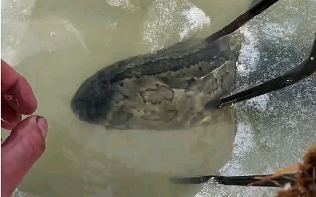 The three elements of fishing for experienced fishermen are stability, accuracy and ruthlessness.