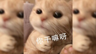 你 干 嘛 呀？！