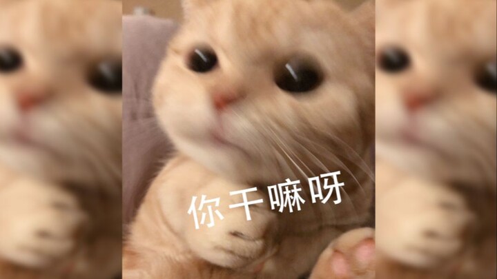 คุณกำลังทำอะไรอยู่เนี่ย?!