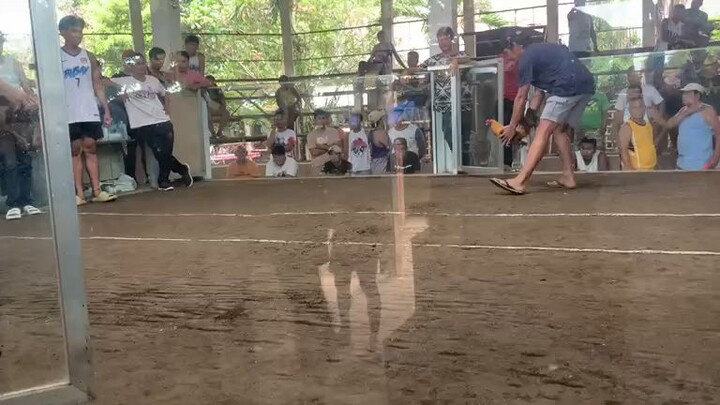 JR GOLD