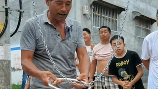 الخبراء موجودون بين الناس، حلقة يين ويانغ الغدية!