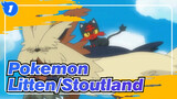[Pokemon] Litten:" Stoutland, Have You Seen My Growth?"_1