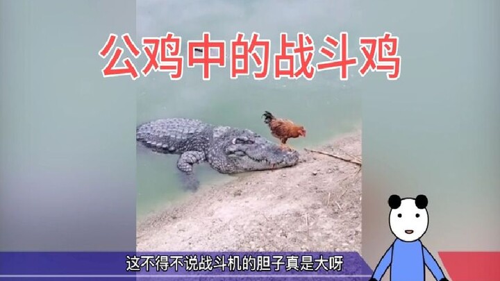Cụ ông: Tôi thật sự không say đâu