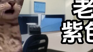 【มีมแมว】ชีวิตประจำวันในแผนกจิตเวชฉุกเฉิน II (1) - คุณหญิงชรากับลิปสติกสีม่วง