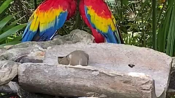viaje en xcaret