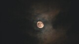 “The moon is beautiful, isn't it?”