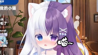 王宝煲喵叫一分钟纯享版（自用）
