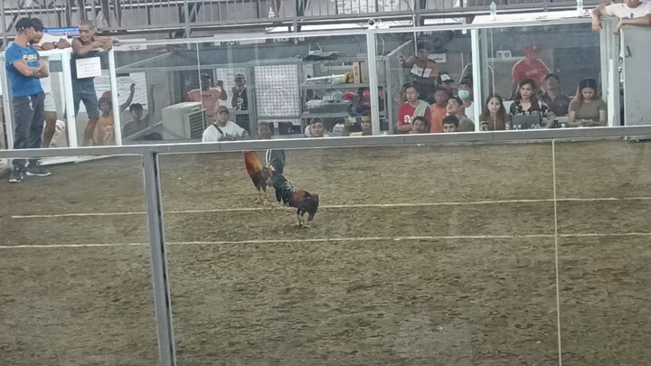 boston rh x allen rh 2113 line unscratch win