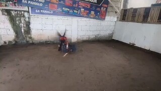 badaldo pakpak