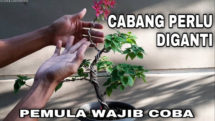 Tips Mengganti dan Memilih Cabang Bagi Pemula