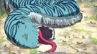 zoro kena kejahilan usop