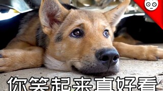 【华农兄弟】你笑起来真好看
