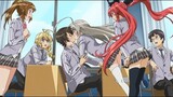 Top 10 Anime Where Many Girl Dream For Same Guy!