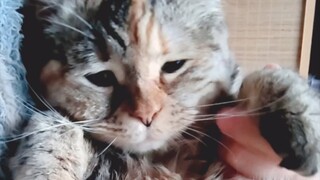 Ibuku memanfaatkan kenyataan bahwa aku lemah dan tak berdaya, dengan terang-terangan memegang perut 