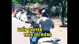 Uyển Chuyển Lối Riêng cùng Ninja Lead Việt Nam