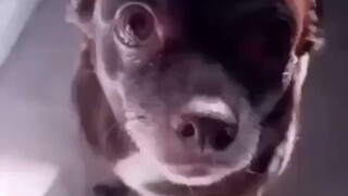 别整哪些花里胡哨的