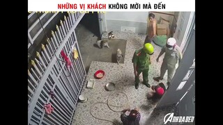 Những Vị Khách Không Mời Mà Tới | Cre: Ban Mê Thành Phố Cafe