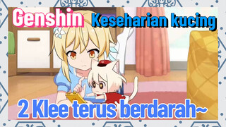 [Genshin Impact, Keseharian kucing] 2 Klee terus berdarah~